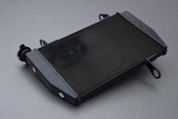 Radiateur DUCATI HYPERMOTARD / HYPERSTRADA 821 & 939 2013 - 2021 Radiateur DUCATI HYPERMOTARD / HYPERSTRADA 821 & 939 2013 - 2021