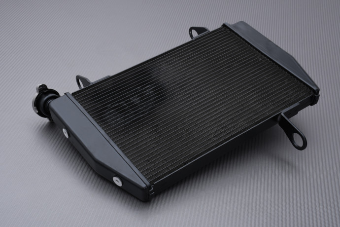 Radiateur DUCATI HYPERMOTARD / HYPERSTRADA 821 & 939 2013 - 2021 Radiateur DUCATI HYPERMOTARD / HYPERSTRADA 821 & 939 2013 - 2021