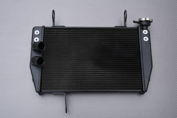 Radiador DUCATI HYPERMOTARD / HYPERSTRADA 821 / 939 2013 - 2021