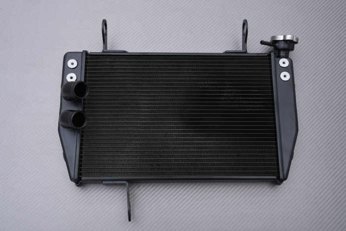 Radiateur DUCATI HYPERMOTARD / HYPERSTRADA 821 & 939 2013 - 2021 Radiateur DUCATI HYPERMOTARD / HYPERSTRADA 821 & 939 2013 - 2021