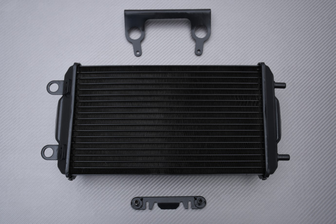 Versione tipo originale