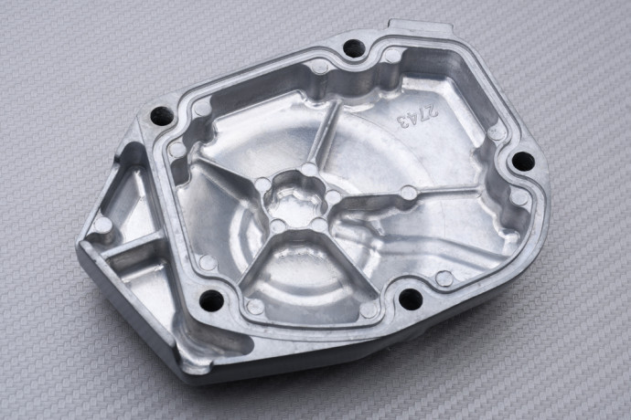 Carter accensione KAWASAKI Z900 / SE 2017 - 2024 Carter accensione KAWASAKI Z900 / SE 2017 - 2024