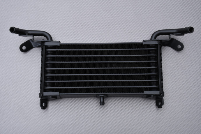 Radiatore a olio BMW S1000R / S1000RR / S1000XR 2009 - 2020 Radiatore a olio BMW S1000R / S1000RR / S1000XR 2009 - 2020