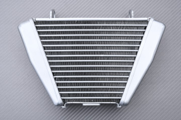 Radiador de aceite DUCATI DIAVEL / XDIAVEL 1200 / 1260 2016 - 2024