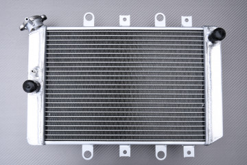 Radiador Agua Racing Reforzado AVDB YAMAHA YFM GRIZZLY 700 FI / HUNTER / EPS 2007 - 2008 Radiador Agua Racing Reforzado AVDB YAMAHA YFM GRIZZLY 700 FI / HUNTER / EPS 2007 - 2008