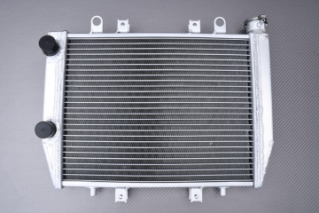 Radiatore acqua racing rinforzato KAWASAKI BRUTE FORCE KVF 750 2015 - 2023 Radiatore acqua racing rinforzato KAWASAKI BRUTE FORCE KVF 750 2015 - 2023