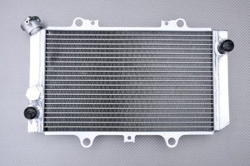 Radiador Agua Racing Reforzado AVDB YAMAHA YFM GRIZZLY 660 / HUNTER 2002 - 2008
