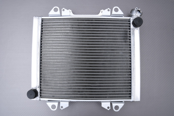 Radiador Agua Racing Reforzado KAWASAKI TERYX KRF 750 / SPORT 2010 - 2013 Radiador Agua Racing Reforzado KAWASAKI TERYX KRF 750 / SPORT 2010 - 2013
