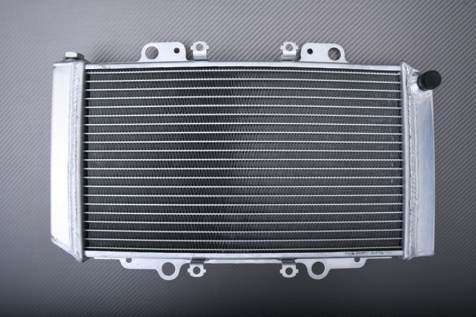 Radiador Agua Racing Reforzado HISUN FORGE 400 2014 - 2017 Radiador Agua Racing Reforzado HISUN FORGE 400 2014 - 2017