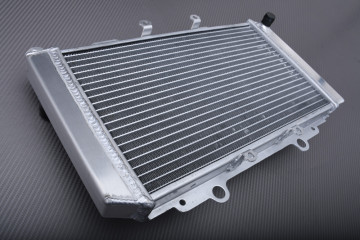Radiateur Eau Racing Renforcé COLEMAN TRAIL TAMER 360 2016 - 2017