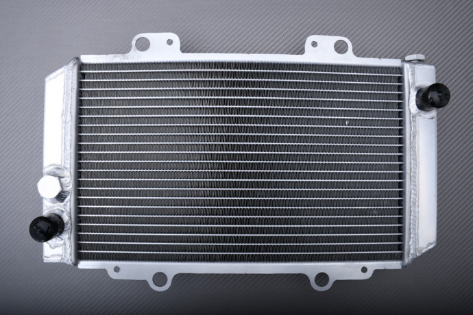 Reinforced Racing Water Radiator COLEMAN TRAIL TAMER 360 2016 - 2017 Reinforced Racing Water Radiator COLEMAN TRAIL TAMER 360 2016 - 2017