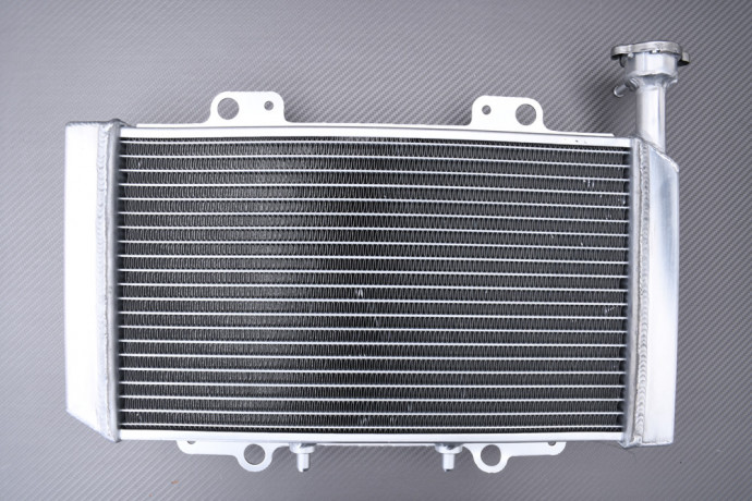 Radiateur Eau Racing Renforcé HISUN HS 400 UTV2 2014 - 2022 Radiateur Eau Racing Renforcé HISUN HS 400 UTV2 2014 - 2022