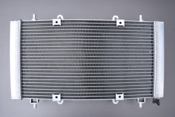 Verstärkte Racing-Wasserkühler HISUN SECTOR / AXIS / PK PERFORMANCE 450 2015 - 2022