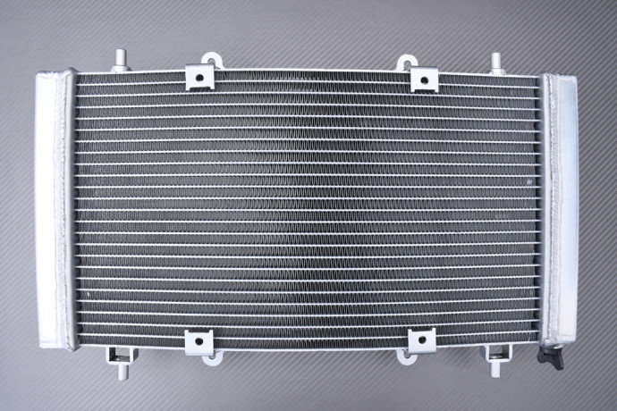 Verstärkte Racing-Wasserkühler HISUN SECTOR / AXIS / PK PERFORMANCE 450 2015 - 2022 Verstärkte Racing-Wasserkühler HISUN SECTOR / AXIS / PK PERFORMANCE 450 2015 - 2022