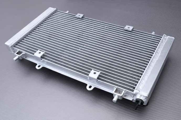 Verstärkte Racing-Wasserkühler HISUN SECTOR / AXIS / PK PERFORMANCE 450 2015 - 2022 Verstärkte Racing-Wasserkühler HISUN SECTOR / AXIS / PK PERFORMANCE 450 2015 - 2022