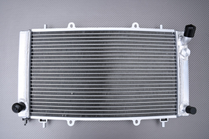 Verstärkte Racing-Wasserkühler HISUN SECTOR / AXIS / PK PERFORMANCE 450 2015 - 2022 Verstärkte Racing-Wasserkühler HISUN SECTOR / AXIS / PK PERFORMANCE 450 2015 - 2022