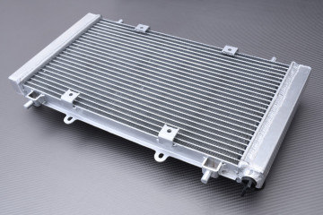 Radiateur Eau Racing Renforcé COLEMAN OUTFITTER 400 2013 - 2015 Radiateur Eau Racing Renforcé COLEMAN OUTFITTER 400 2013 - 2015