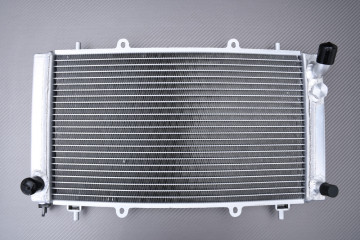 Radiateur Eau Racing Renforcé COLEMAN OUTFITTER 400 2013 - 2015 Radiateur Eau Racing Renforcé COLEMAN OUTFITTER 400 2013 - 2015
