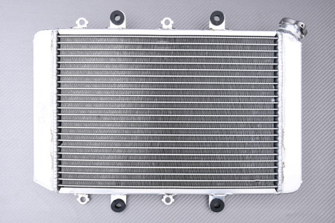 Radiateur Eau Racing Renforcé AVDB YAMAHA GRIZZLY / KODIAK YFM 700 2015 - 2024 Radiateur Eau Racing Renforcé AVDB YAMAHA GRIZZLY / KODIAK YFM 700 2015 - 2024
