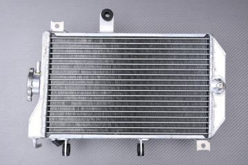 Radiateur AVDB SUZUKI BURGMAN 650 2003 - 2012