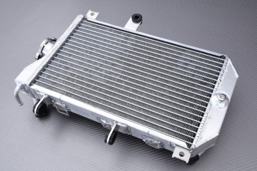 Radiateur AVDB SUZUKI BURGMAN 650 2003 - 2012