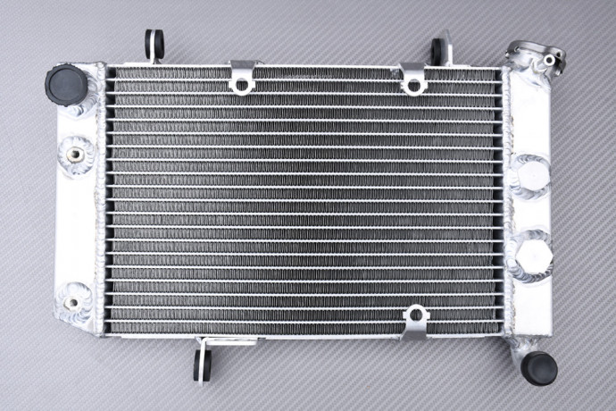 Radiador Agua Racing Reforzado AVDB SUZUKI QUADSPORT LTZ 400 2003 - 2008