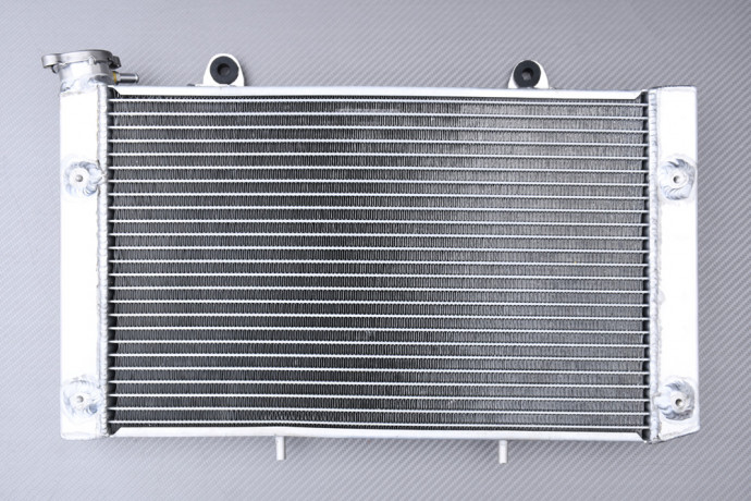 Radiateur Eau Racing Renforcé AVDB YAMAHA RHINO YXR 700 FI / DUCKS / HUNTER / SPORT 2008 - 2013 Radiateur Eau Racing Renforcé AVDB YAMAHA RHINO YXR 700 FI / DUCKS / HUNTER / SPORT 2008 - 2013