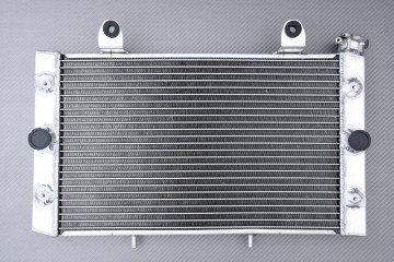 Radiateur Eau Racing Renforcé AVDB YAMAHA RHINO YXR 700 FI / DUCKS / HUNTER / SPORT 2008 - 2013 Radiateur Eau Racing Renforcé AVDB YAMAHA RHINO YXR 700 FI / DUCKS / HUNTER / SPORT 2008 - 2013