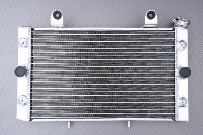 Radiateur Eau Racing Renforcé AVDB YAMAHA RHINO YXR 700 FI / DUCKS / HUNTER / SPORT 2008 - 2013 Radiateur Eau Racing Renforcé AVDB YAMAHA RHINO YXR 700 FI / DUCKS / HUNTER / SPORT 2008 - 2013