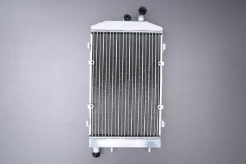 Radiador AVDB KAWASAKI VULCAN 1700 CLASSIC / NOMAD / VOYAGER / VAQUERO 2009 - 2023 Radiador AVDB KAWASAKI VULCAN 1700 CLASSIC / NOMAD / VOYAGER / VAQUERO 2009 - 2023