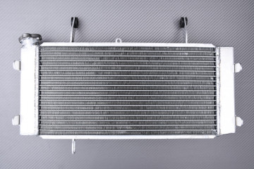 AVDB Radiator SUZUKI VSTROM 1000 / XT 2014 - 2019