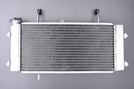 AVDB Radiator SUZUKI VSTROM 1000 / XT 2014 - 2019