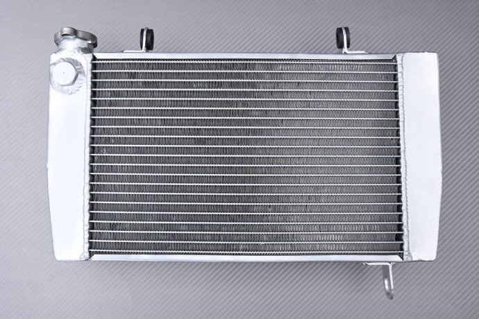 Radiateur YAMAHA TZ 250 1992 - 1995 Radiateur YAMAHA TZ 250 1992 - 1995