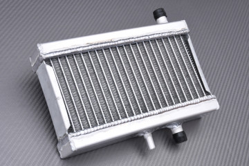 AVDB Radiator HONDA NSR 50 / 80 JAPAN 1988 - 2001 AVDB Radiator HONDA NSR 50 / 80 JAPAN 1988 - 2001