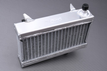 Radiateur AVDB HONDA NSR 50 / 80 JAPAN 1988 - 2001 Radiateur AVDB HONDA NSR 50 / 80 JAPAN 1988 - 2001