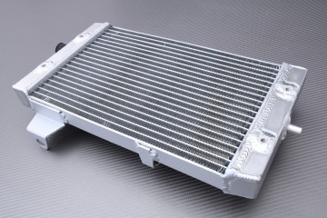 Radiatore acqua racing rinforzato KAWASAKI KFX 700 2004 - 2009 Radiatore acqua racing rinforzato KAWASAKI KFX 700 2004 - 2009
