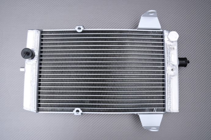 Radiatore acqua racing rinforzato KAWASAKI KFX 700 2004 - 2009 Radiatore acqua racing rinforzato KAWASAKI KFX 700 2004 - 2009