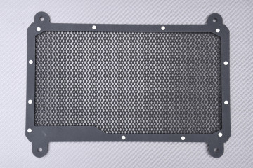 Kühlergrill- Abdeckung KAWASAKI NINJA 400 / Z400 2018 - 2023
