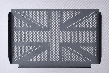 Radiator protection grill TRIUMPH TRIDENT 660 2021 - 2024 Radiator protection grill TRIUMPH TRIDENT 660 2021 - 2024