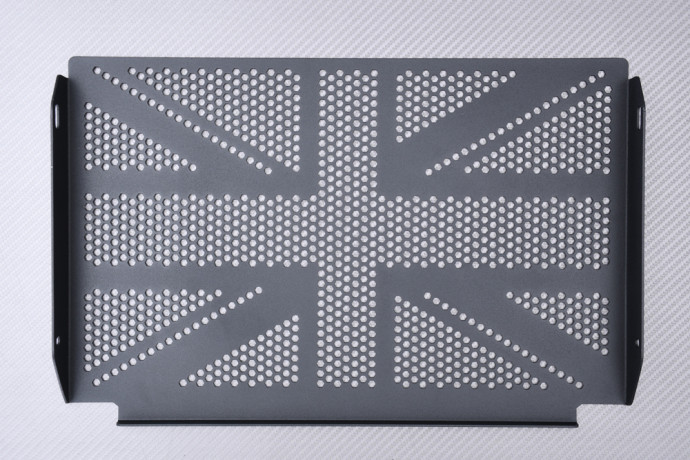 Grille de Radiateur TRIUMPH TRIDENT 660 2021 - 2024 Grille de Radiateur TRIUMPH TRIDENT 660 2021 - 2024