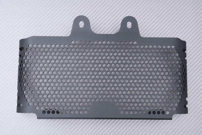 Grille de Radiateur BMW R 1200 NINE T 2014 - 2023 Grille de Radiateur BMW R 1200 NINE T 2014 - 2023