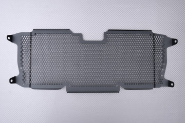Radiator protection grill BMW R1200R / R1250R / R1200RS / R1250RS 2015 - 2024 Radiator protection grill BMW R1200R / R1250R / R1200RS / R1250RS 2015 - 2024