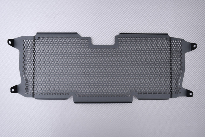 Radiator protection grill BMW R1200R / R1250R / R1200RS / R1250RS 2015 - 2024 Radiator protection grill BMW R1200R / R1250R / R1200RS / R1250RS 2015 - 2024