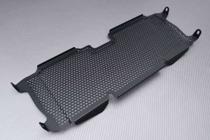 Kühlergrill- Abdeckung BMW R1200R / R1250R / R1200RS / R1250RS 2015 - 2024 Kühlergrill- Abdeckung BMW R1200R / R1250R / R1200RS / R1250RS 2015 - 2024
