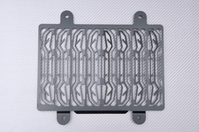 Grille de Radiateur BMW G310R / G310GS 2016 - 2024