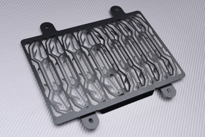 Grille de Radiateur BMW G310R / G310GS 2016 - 2024