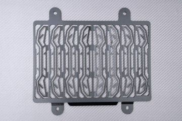 Grille de Radiateur BMW G310R / G310GS 2016 - 2024