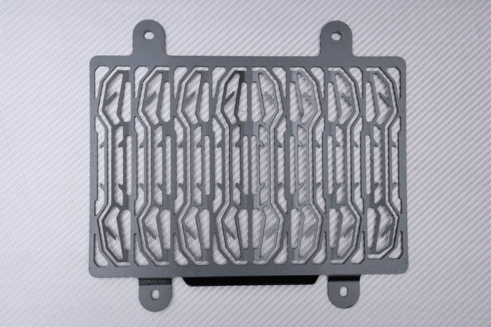 Grille de Radiateur BMW G310R / G310GS 2016 - 2024