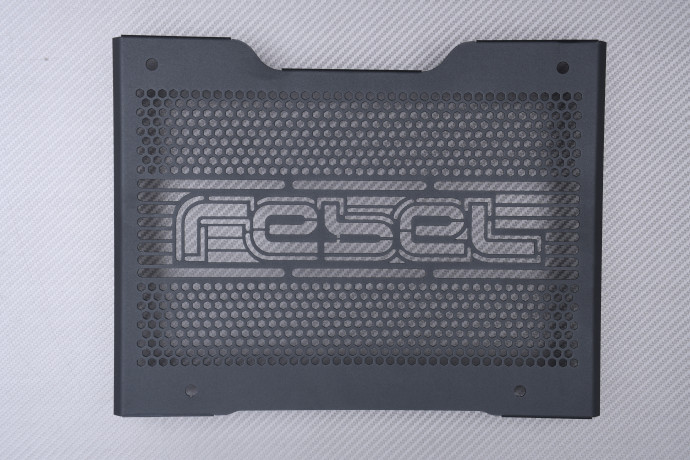 copy of Grille de Radiateur DUCATI SBK 748 / 916 / 996 1994 - 2002 copy of Grille de Radiateur DUCATI SBK 748 / 916 / 996 1994 - 2002
