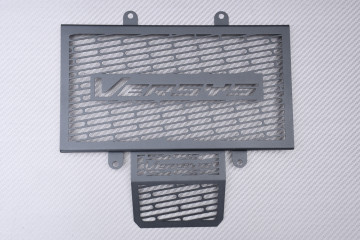 Kühlergrill- Abdeckung KAWASAKI VERSYS-X 300 2017 - 2021
